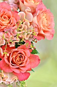 ROSES AND CELOSIA FLOWER ARRANGEMENT