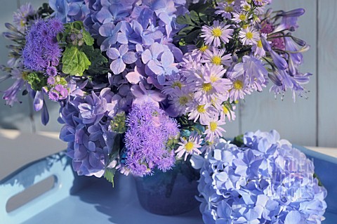 ASTER_AND_HYDRANGEA_BOUQUET