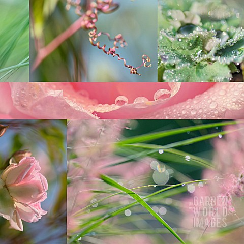 SQUARE_PINK_AND_GREEN_COLLAGE
