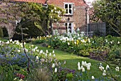 SPRING AT WAKEFIELDS GARDEN SHOWING PURISSIMA TULIPS