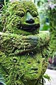 MOSS ENCRUSTED IDOL AT SINGAPORE NATIONAL ORCHID GARDEN