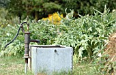 WATER TANK AND PUMP ON ALLOTMENT
