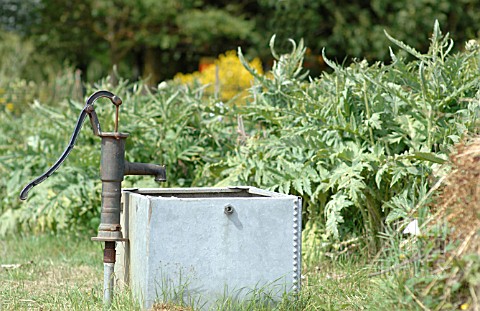 WATER_TANK_AND_PUMP_ON_ALLOTMENT