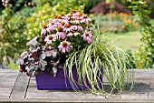 PLANTING A CONTAINER WITH PERENNIALS