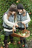 TWO GIRLS GATHERING MALUS DOMESTICA (APPLE) IN AUTUMN