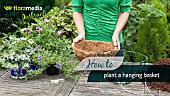 HOW TO: PLANT A HANGING BASKET - STEP BY STEP ACTION VIDEO