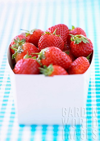 Strawberry_Fragaria_x_ananassa_Studio_shot_of_red_fruit_in_container