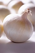 Onion, White onion, Allium cepa, Studio shot of vegetable.