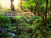 Bridge and stream, Portland Japanese Garden, Oregon, USA.