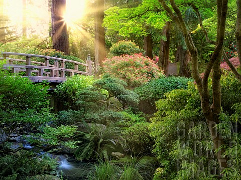 Bridge_and_stream_Portland_Japanese_Garden_Oregon_USA