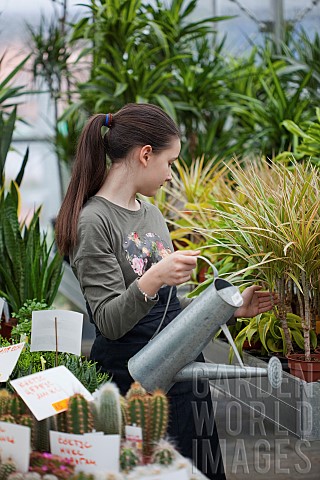 Young_girl_working_in_garden_centre_Watering_plants