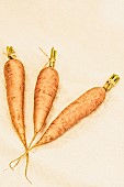 Carrot, Daucus Carota, Three carrots in a village produce show.
