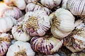 Garlic, Allium Sativum, Close-up of fresh garlic.