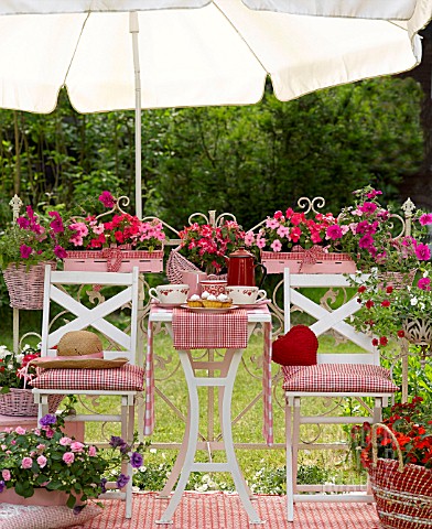 SUMMER_TERRACE_WITH_RED_AND_PINK_IMPATIENS