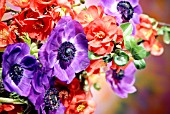 BUNCH OF FLOWERS WITH ANEMONES