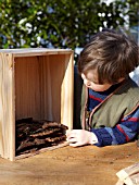 INSECT HOUSE BUILDING PROJECT WITH FATHER AND SON.  CHILD PLACING BARK IN BOX.  STEP 6
