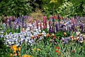 SUMMER GARDEN WITH IRISES AND LUPINUS