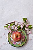APPLE BLOSSOMS (MALUS) IN STILL LIFE WITH APPLE