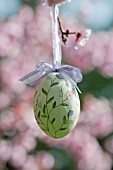 PAINTED EASTER EGG HANGING IN PLUM TREE WITH BLOSSOM