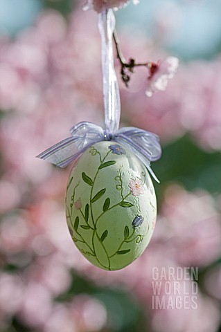 PAINTED_EASTER_EGG_HANGING_IN_PLUM_TREE_WITH_BLOSSOM