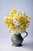 MIXED NARCISSUS FALCONET, SWEETNESS, CHEERFULNESS, TETE A TETE, BRIDAL CROWN AND SIR WINSTON CHURCHIL IN PEWTER MUG