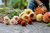 ROSA, DAHLIA, AND CUT FLOWERS ON WOODEN POTTING BENCH