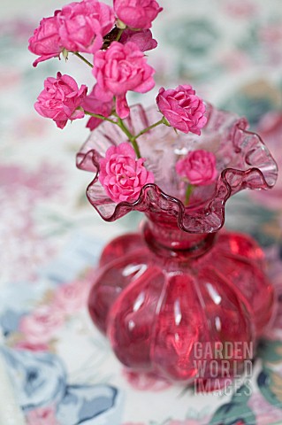 ROSA_THE_LOVELY_FAIRYRANBERRY_GLASS_PITCHER