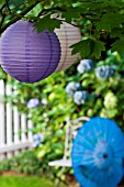 CHINESE SILK PARASOL IN GARDEN WITH WHITE PICKET FENCE AND HYDRANGEA