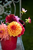 MIXED DAHLIAS IN RED BUCKET
