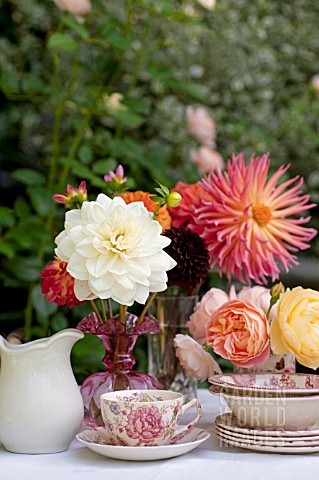 MIXED_DAHLIAS_AND_ROSES_IN_VASES_ON_OUTDOOR_GARDEN_TABLE_WITH_TEA_AND_ROSES
