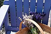 PURPLE ADIRONDACK CHAIR WITH BASKET OF LAVENDER