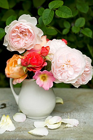 MIXED_CUT_ROSES_IN_VASE