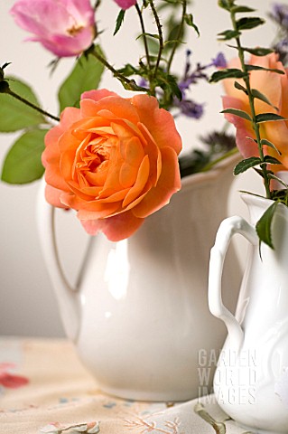 MIXED_ROSES_IN_PITCHER