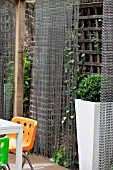 THE DRAWING ROOM GARDEN  URBAN LONDON GARDEN  CHAIN SCREENS WITH BUXUS IN TALL CONTAINER  DESIGNED BY: EARTH DESIGNS.