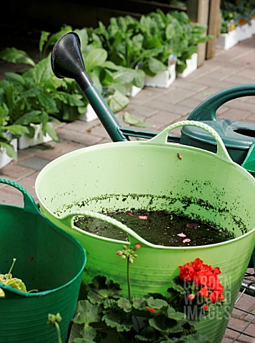 BUCKETS_FOR_WATERING_AND_TIDYING_GREENHOUSE