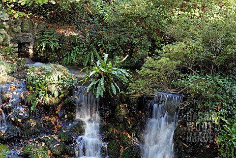 WATERFALL_AT_MINTERNE_IN_DORSET
