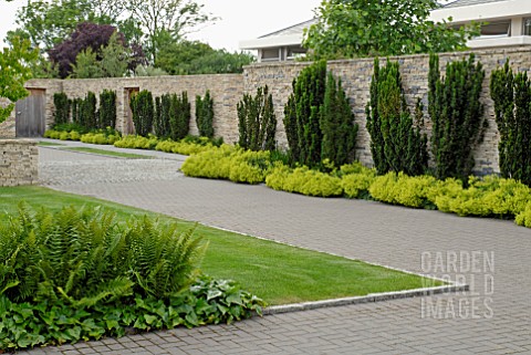 CONTEMPORARY_GARDEN_STONE_WALL_AND_DRIVE_WITH_TAXUS_BACCATA__ALCHEMILLA_MOLLIS_HEDERA_AND_FERNS