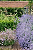 VEGETABLE GARDEN AT HOLT FARM, SOMERSET WITH LARGE CATMINT BORDER