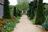 AVENUE OF YEW TOPIARY AND NASTURTIUMS LEADING TO GATE AT HANHAM COURT