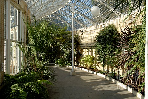 INTERIOR_OF_THE_GREAT_CONSERVATORY_AT_SYON_PARK
