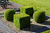 BUXUS SEMPERVIRENS BALLS AND SQUARES IN BRICK PARTERRE