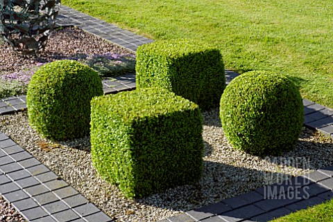BUXUS_SEMPERVIRENS_BALLS_AND_SQUARES_IN_BRICK_PARTERRE