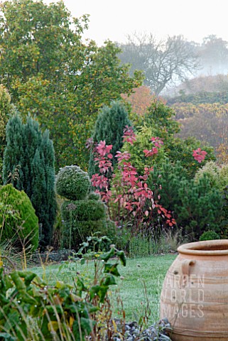 AUTUMNAL_CONIFER_AND_MIXED_BORDER