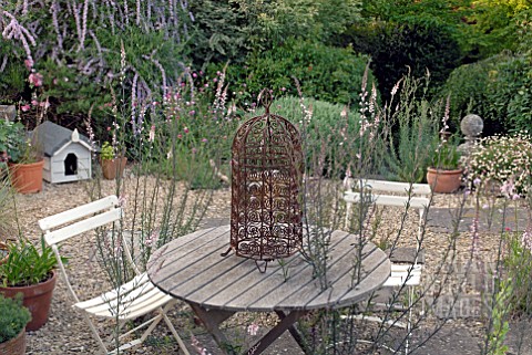 TABLE_AND_CHAIRS_ON_PATIO_WITH_SELFSEEDED_LINARIA_PURPUREA_CANON_WENT