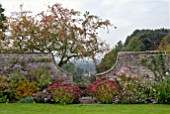 SEDUM HERBSTFREUDE IN AUTUMN BORDER AT CAMERS, GLOUCESTERSHIRE WITH FRAMED VIEW OF LANDSCAPE