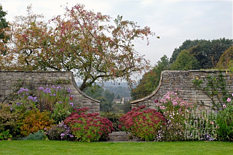 SEDUM_HERBSTFREUDE_IN_AUTUMN_BORDER_AT_CAMERS_GLOUCESTERSHIRE_WITH_FRAMED_VIEW_OF_LANDSCAPE