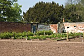 WALLED FRUIT AND VEGETABLE GARDEN
