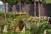 HAMPTON COURT FLOWER SHOW 2011 - I AM, BECAUSE OF WHO WE ARE - BEST IN SHOW - DESIGNED BY:CAROLINE COMBER WITH PETRA HORACKOVA  STIPAS MIXED WITH ASTRANTIA AND DIGITALIS, BETULA ALBOSINENSIS FASCINATION (BIRCH) FOR HEIGHT AND SEMI SHADE.