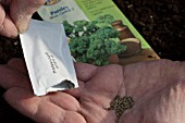 SPRINKLE PARSLEY SEEDS INTO HAND