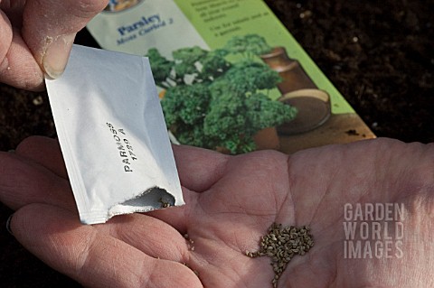 SPRINKLE_PARSLEY_SEEDS_INTO_HAND